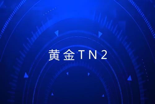 黄金TN2