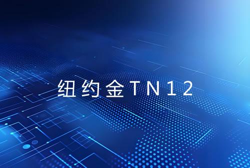 纽约金TN12