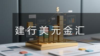 建行美元金汇