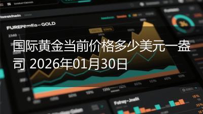 国际黄金当前价格多少美元一盎司 2026年01月30日
