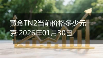 黄金TN2当前价格多少元一克 2026年01月30日