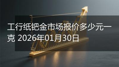 工行纸钯金市场报价多少元一克 2026年01月30日