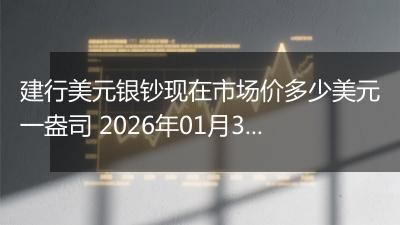 建行美元银钞现在市场价多少美元一盎司 2026年01月30日