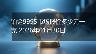 铂金9995市场报价多少元一克 2026年01月30日
