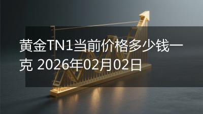 黄金TN1当前价格多少钱一克 2026年02月02日
