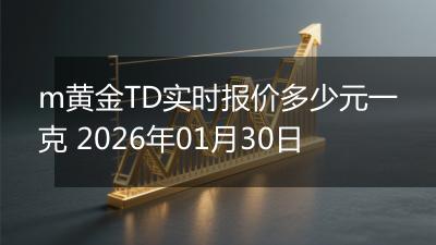 m黄金TD实时报价多少元一克 2026年01月30日