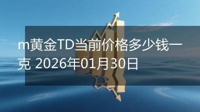 m黄金TD当前价格多少钱一克 2026年01月30日