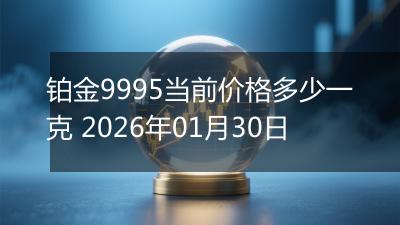 铂金9995当前价格多少一克 2026年01月30日