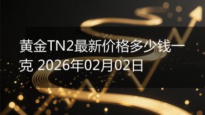 黄金TN2最新价格多少钱一克 2026年02月02日